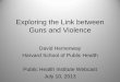 Exploring the Link between Guns and Violence