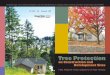 Tree protection on construction and development sites