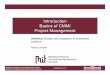 Introduction Basics of CMMI Project Management