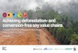 Achieving deforestation- and conversion-free soy value chains