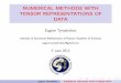 NUMERICAL METHODS WITH TENSOR REPRESENTATIONS OF …