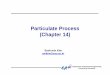 06 Particulate process - CAU