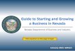 Guide to Starting a Business in Nevada