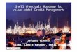 Shell Chemicals Roadmap for value-added Credit Management