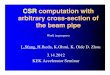 CSR computation with arbitrary crossarbitrary cross 