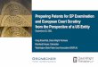Preparing Patents for EP Examination and European Court 