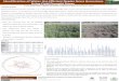 Identification of Water Use Efficient Napier Grass 
