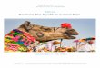INDIA Explore the Pushkar Camel Fair