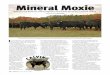 Mineral Moxie - Animal and Range | Montana State University