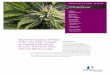 Determination of THC CBD in Cannabis (014329 01)