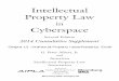 Intellectual Property Law Cyberspace