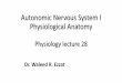 Autonomic Nervous System I Physiological Anatomy
