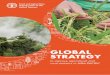 GLOBAL STRATEGY - FAO