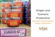 Ginger and Turmeric Production - vsuag.net