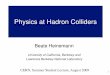 Physics at Hadron Colliders