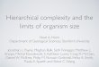 Hierarchical complexity and the limits of organism size