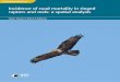 Incidence of road mortality in ringed raptors and owls: a 