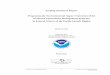 Scoping Summary Report - Programmatic Environmental Impact 