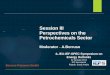 Session III Perspectives on the Petrochemicals Sector