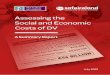 Assessing the Social and Economic Costs of DV
