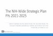 Developing the FY 2021-2025 NIH-Wide Strategic Plan