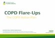 COPD Flare-Ups