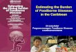 Estimating the Burden of Foodborne Diseases in the Caribbean