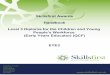 Skillsfirst Awards Handbook Level 3 Diploma for the 