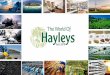 Hayleys PLC Group : Overview
