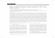 Study on hepatoprotective effect of Moringa oleifera Lam 