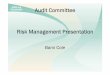 Audit Committee Risk Management Presentation