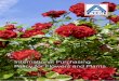 International Purchasing Policy for Flowers and Plants