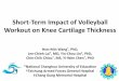 Short-Term Impact of Volleyball Workout on Knee Cartilage 