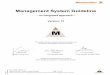 Management System Guideline
