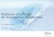 Multicore Challenge An Automotive Perspective