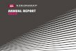 ANNUAL REPORT 2020 - JSE