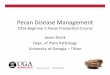 Pecan Disease Management