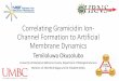 Correlating Gramicidin Ion- Channel Formation to 