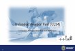 Unleaded Aviation Fuel (UL94) - Save Reid-Hillview