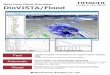 Real time flood simulator DioVISTA/Flood