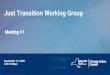Just Transition Working Group