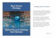 Blue Ocean Vetology Value Innovation Strategy