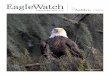 Behind the Binoculars: NOTES FROM THE EAGLEWATCH …