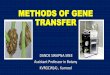 PHYSICAL METHODS OF GENE TRANSFER
