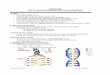 Biology 30 Unit C – Molecular Genetics: DNA / Protein 