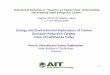 Energy and Environmental Implications of Carbon Ei i Rd ti 