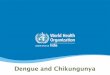 Dengue and Chikungunya - Weebly
