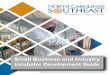 Small Business and Industry Incubator Development Guide