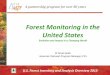 Forest Monitoring in the United States - Homepage | UNECE