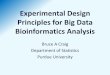 Experimental Design Principles for Big Data Bioinformatics 